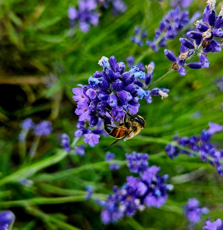 Fot&#x2e;&#x20;Honorata&#x20;Galczewska