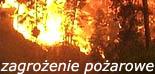 Zagrożenie pożarowe w lasach - Strona główna