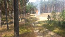 Ćwiczenia straży pożarnej w gaszeniu lasu