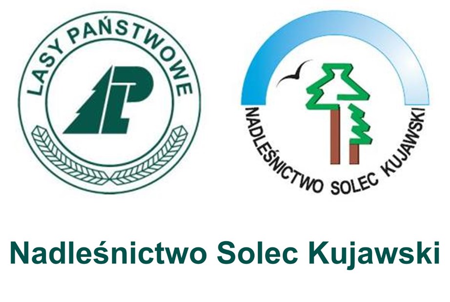 Ogłoszenie o dzierżawie - Aktualności - Nadleśnictwo Solec Kujawski - Lasy  Państwowe