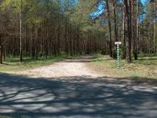 Zasady korzystania z dróg leśnych