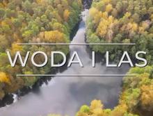 Woda i las
