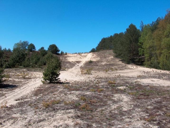 Obszar chronionego krajobrazu Kotliny Toruńsko-Bydgoskiej (fot. Adrian Pietrzak)