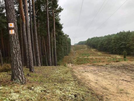 Nowy szlak konny w Nadleśnictwie Solec Kujawski