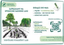 sadzenie społeczne w nadleśnictwie solec kujawski